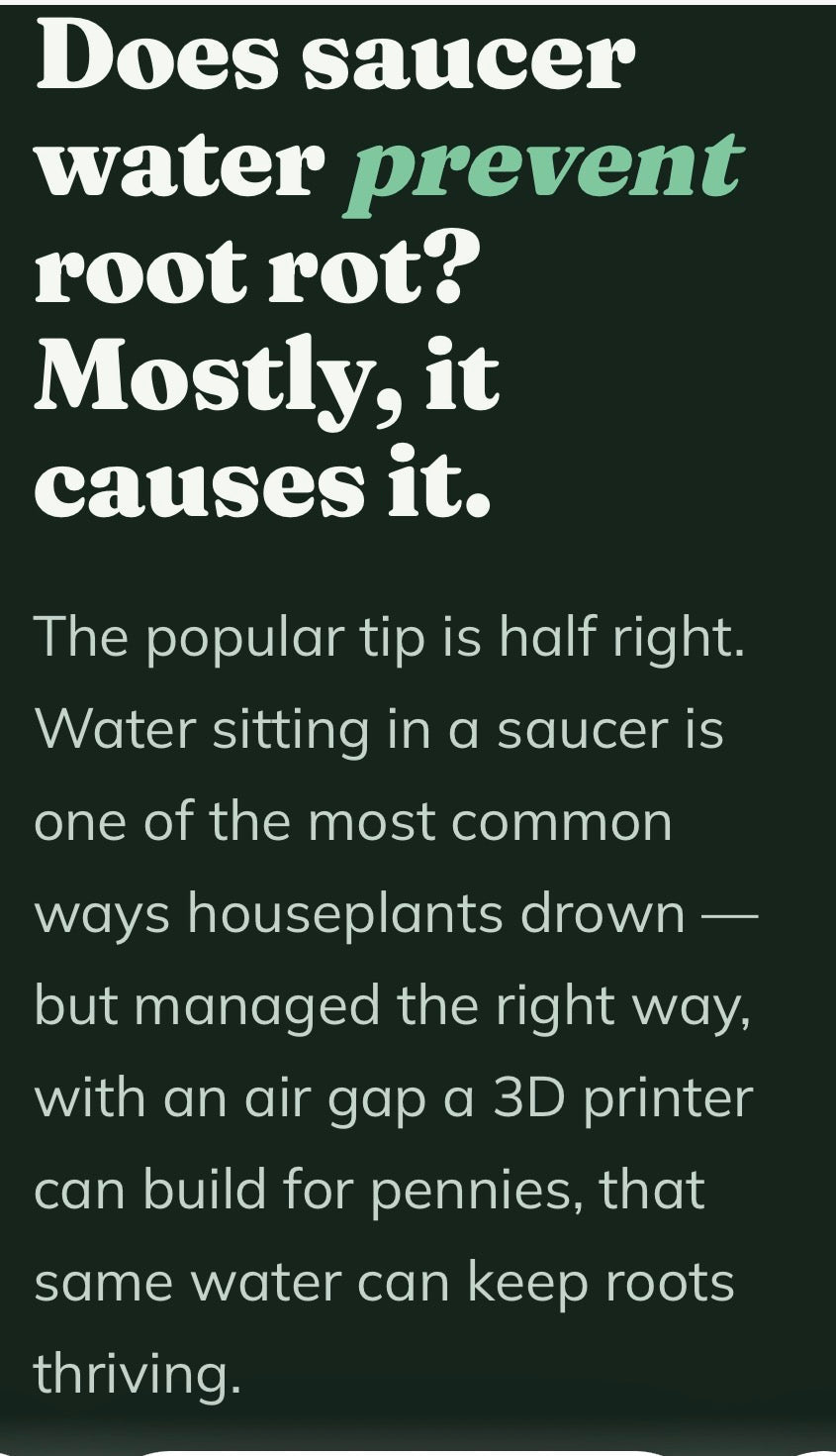 Does saucer water prevent root rot? Mostly, it causes it.
