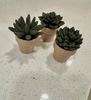 🌵 3x Fidget Spinner Mini Succulent Planters – Unique Home &amp; Office Decor