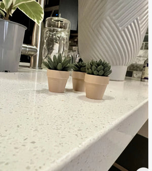 🌵 3x Fidget Spinner Mini Succulent Planters – Unique Home &amp; Office Decor