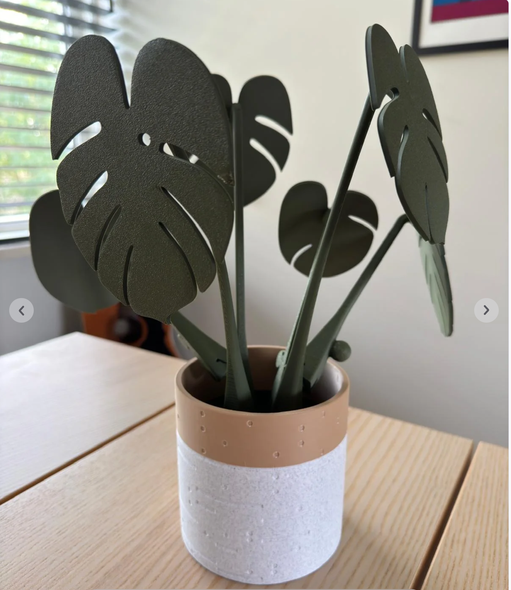 Monstera Coasters - Classic