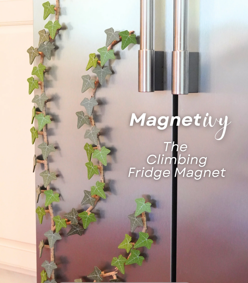 Magnetivy: The Climbing Fridge Magnet