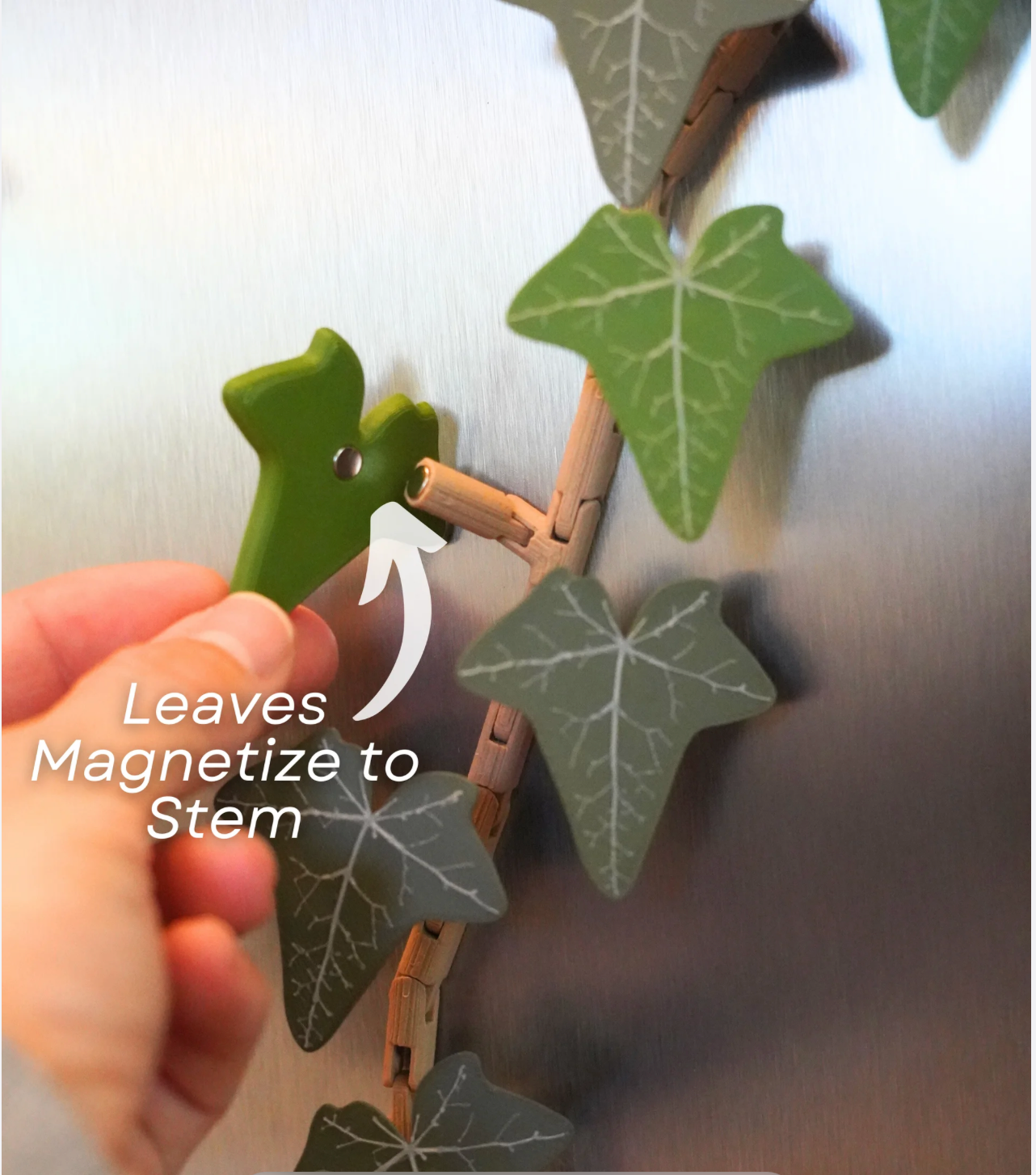Magnetivy: The Climbing Fridge Magnet